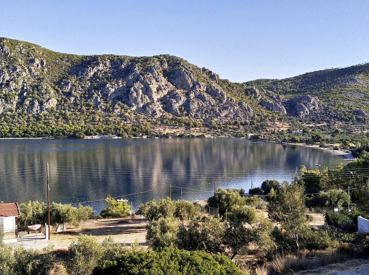 Lagoon Dreamhouse Vouliagmeni insjö Exteriör bild